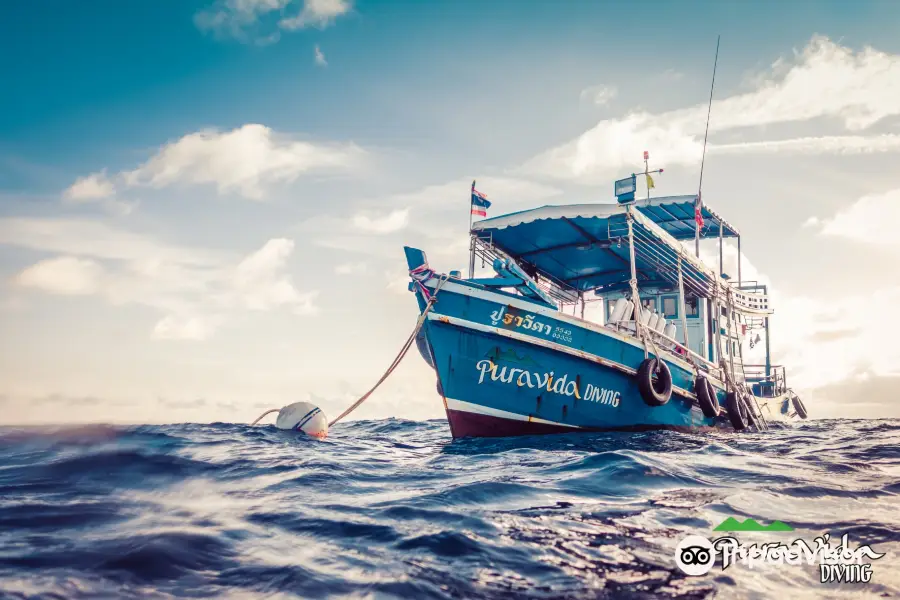 Pura Vida Diving