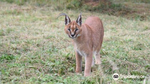 Jukani Wildlife Sanctuary