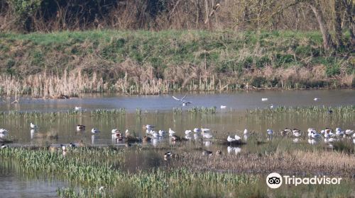 Bird reserve of Grand-Laviers