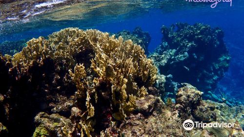 Buck Island Reef National Monument