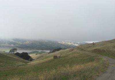 Peña Adobe Regional Park