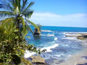 Gandoca - Manzanillo Wildlife Refuge