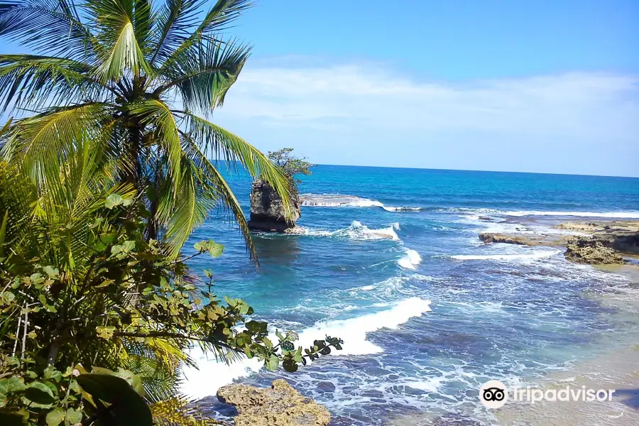 Gandoca - Manzanillo Wildlife Refuge