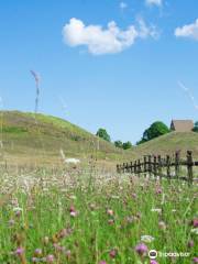 Old Uppsala Archaeological Area