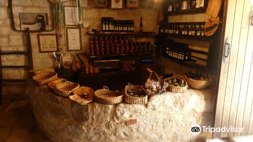 Olive oil museum