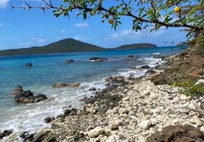 Playa Sardinas I