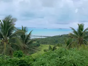 Mount Maungapu