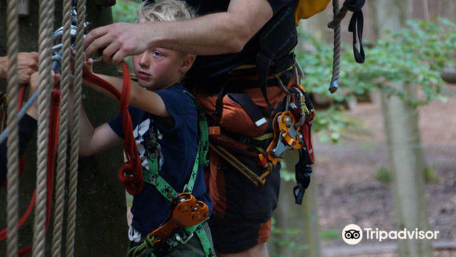 Klatreparken Aalborg