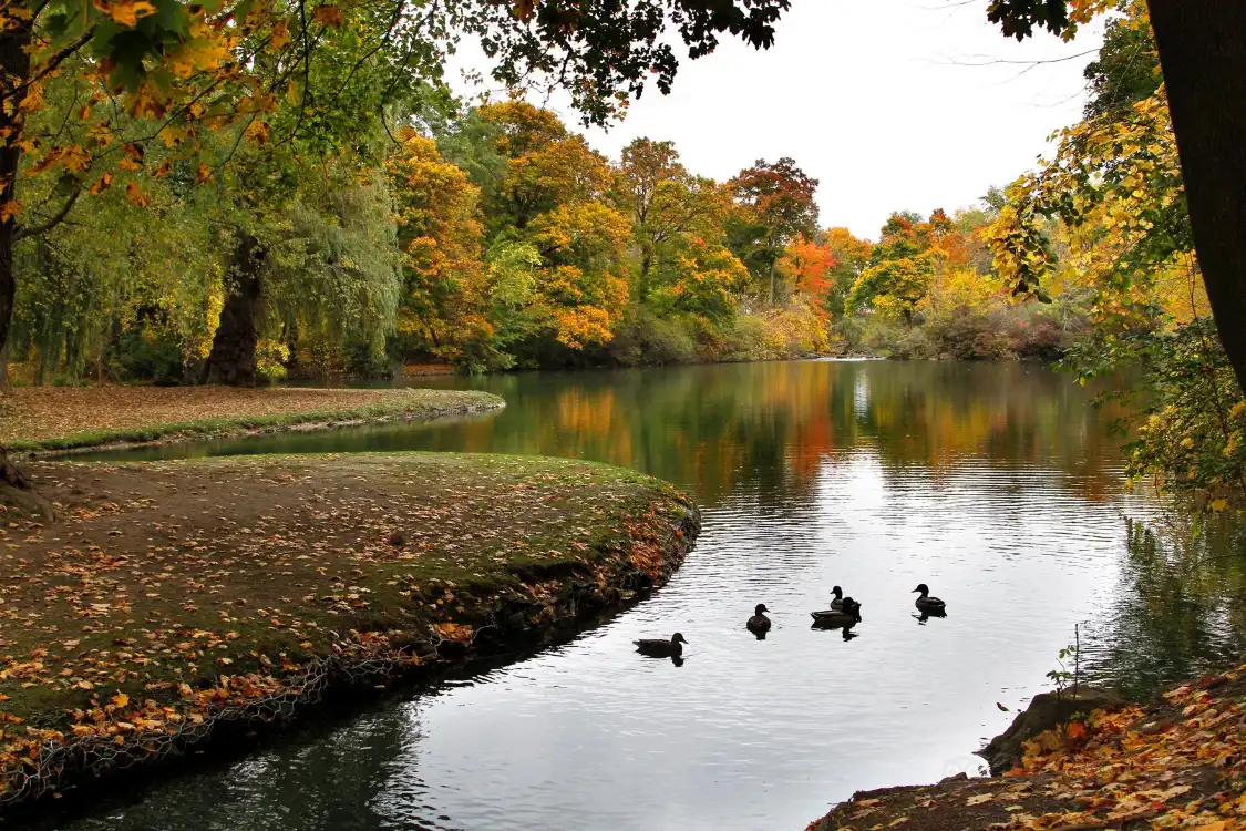 Hotel in zona Dufferin Islands Park