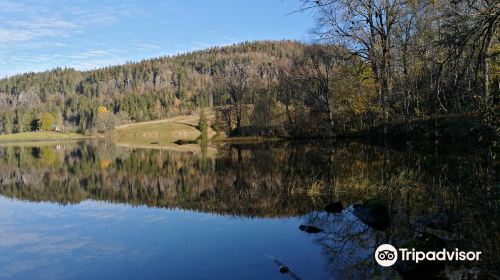 Semsvannet Lake