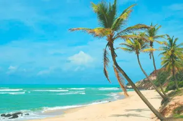 Pipa Beach