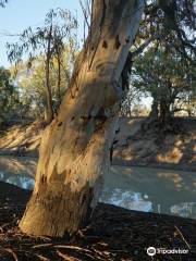 Darling River