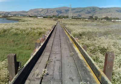 Don Edwards San Francisco Bay National Wildlife Refuge