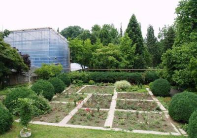 Uzhgorod University Botanic Garden