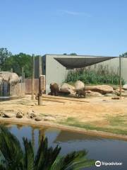 Montgomery Zoo