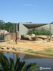 Montgomery Zoo & Mann Wildlife Learning Museum
