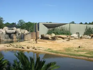 Montgomery Zoo & Mann Wildlife Learning Museum