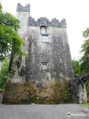 Dunsandle Castle and Woods