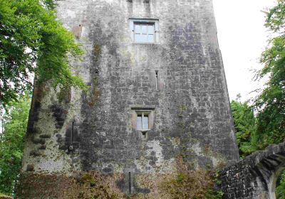 Dunsandle Castle and Woods