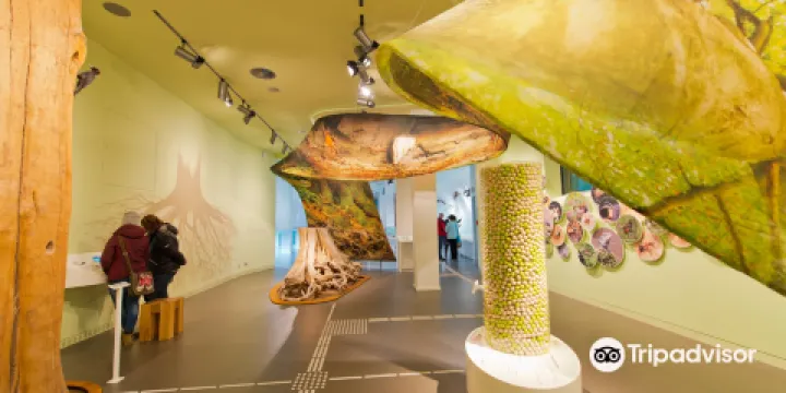 ehemalige NS-Ordensburg Vogelsang