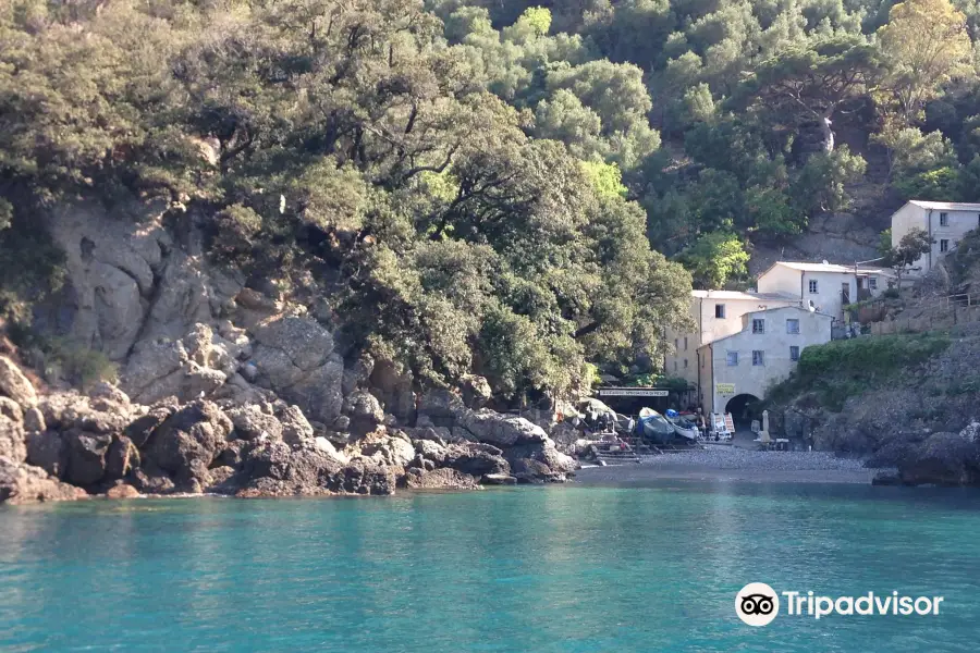 Portofino Fishing