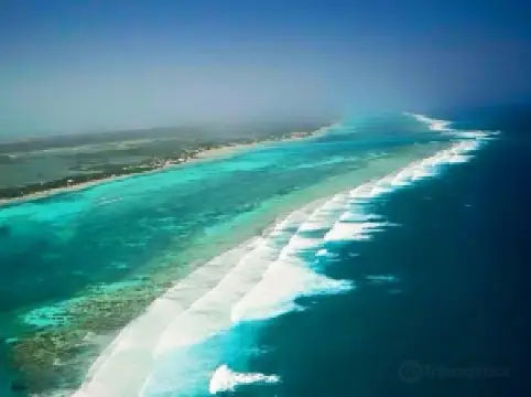 Xsite Belize Sailing & Adventures