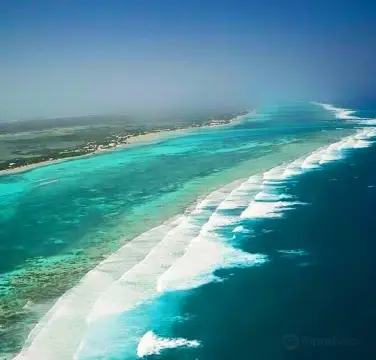 ซานเปโดร