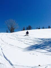 Snow Wave Park Shiratori Kogen