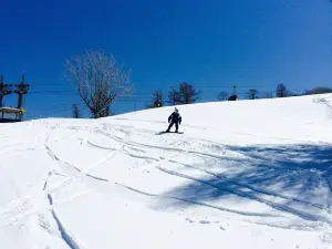 スノーウェーブパーク白鳥高原