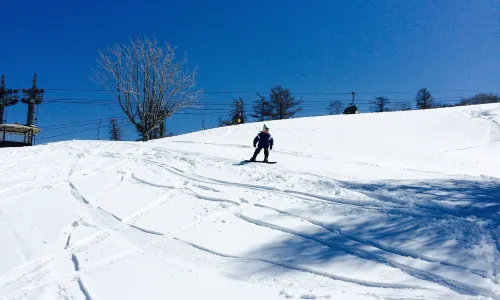 Snow Wave Park Shiratori Kogen