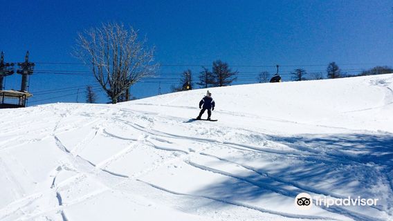 Snow Wave Park Shiratori Kogen