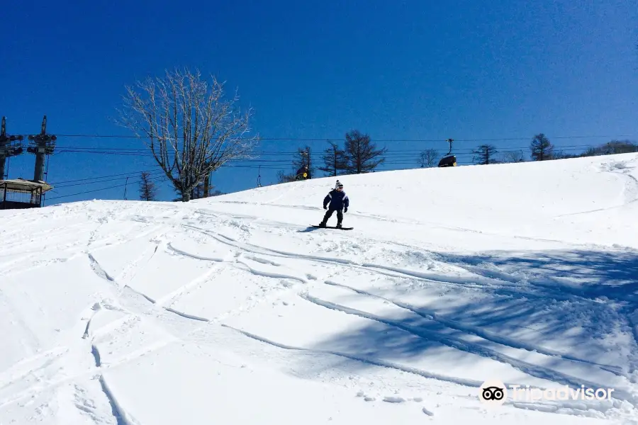 Snow Wave Park Shiratori Kogen