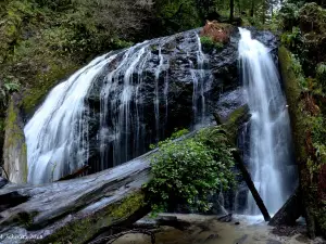 Russian Gulch State Park