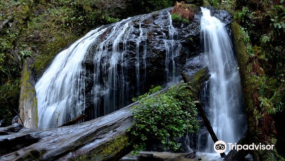 Russian Gulch State Park