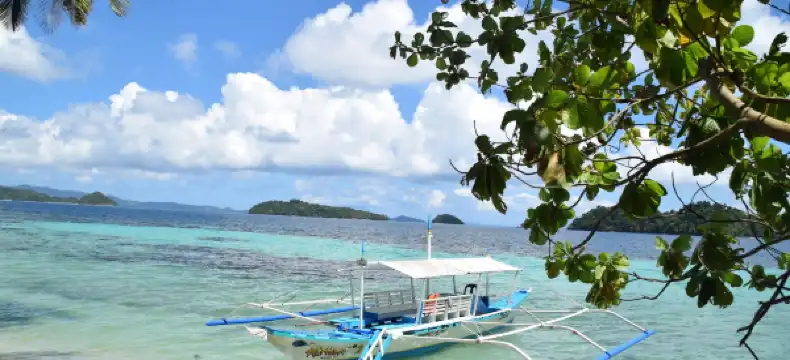 Hotels near Port Barton