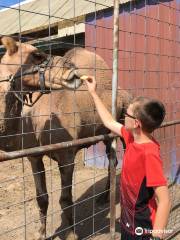 Glacier Ridge Animal Farm