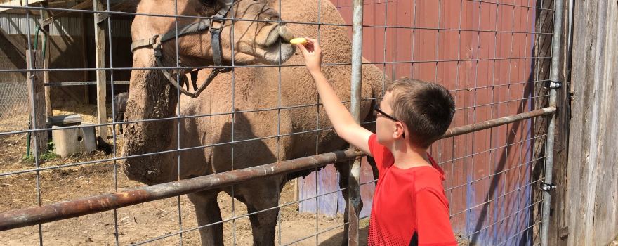 Glacier Ridge Animal Farm