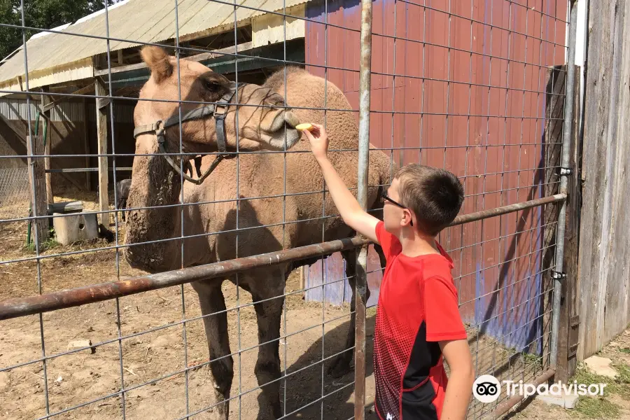 Glacier Ridge Animal Farm