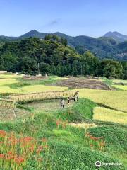 Terasaka Rice Terrace