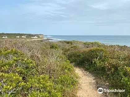 Amsterdam Beach Preserve