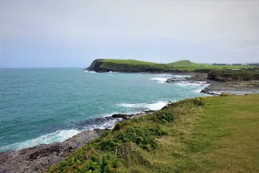 Curio Bay Cliffs