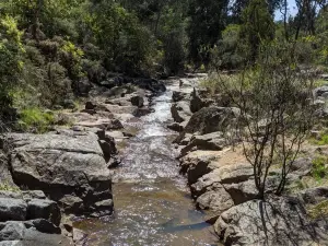 Mining Gorge