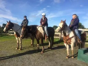 Bandon Beach Riding Stables