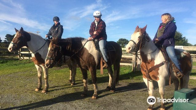 Bandon Beach Riding Stables