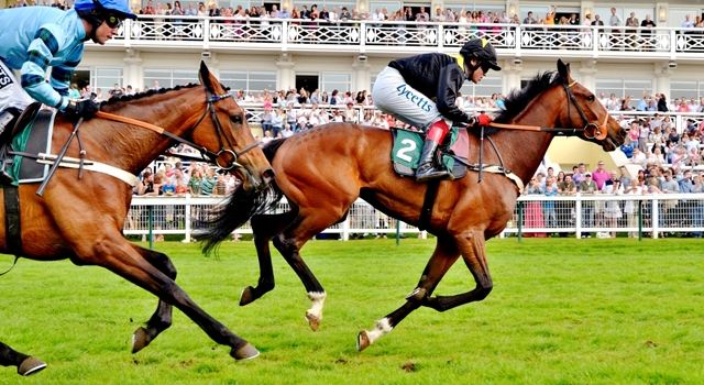 Towcester Racecourse