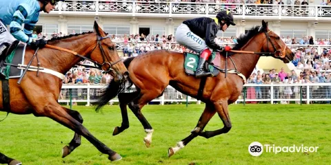 Towcester Racecourse