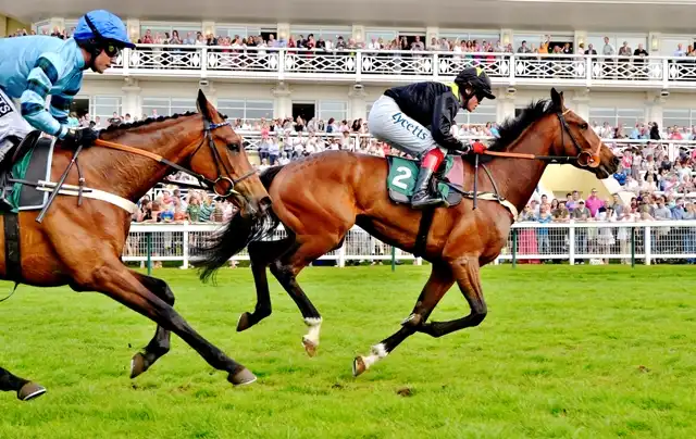 Towcester Racecourse 주변 호텔