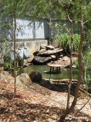 Tamworth Marsupial Park