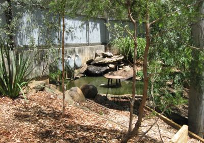 Tamworth Marsupial Park