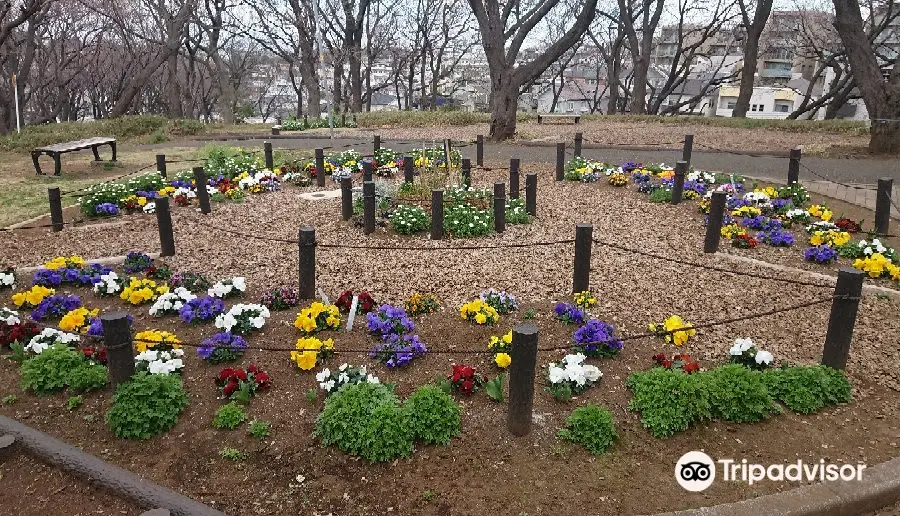 菊名桜山公園（カーボン山）